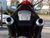 Honda CBR 1100XX Blackbird 1999-2003 Clear Taillight LED Version